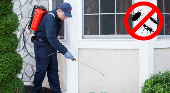 Salıpazarı Fare İlaçlama böcek ilaçlama ve haşere kontrolü — ilaclama-tr.com